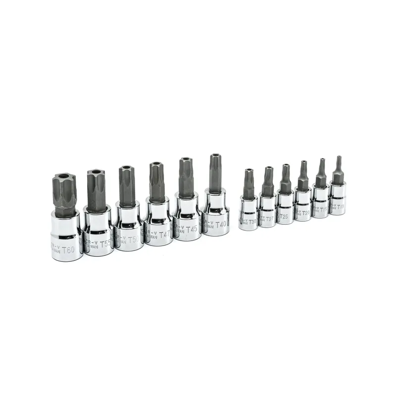 1/4 And 3/8 In. Drive 6 Point Tamper Proof Torx Bit Socket Set 12 Pc
