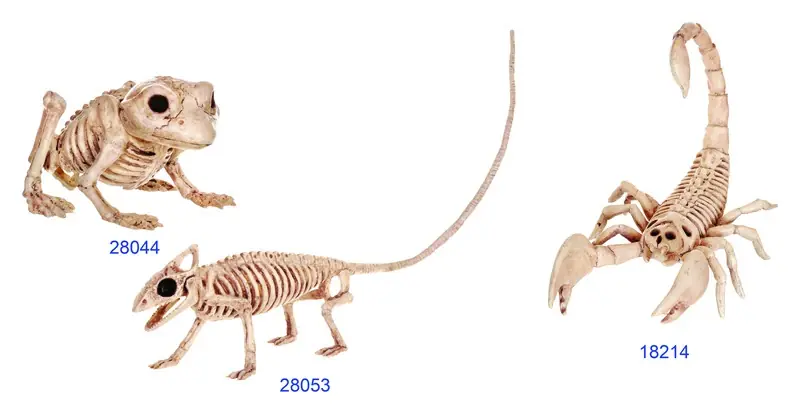 6 In. Mini Animal Skeletons Halloween Decor