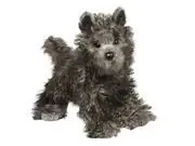 Hazel Cairn Terrier Stuffed Animal 16 Inch Plush Toy