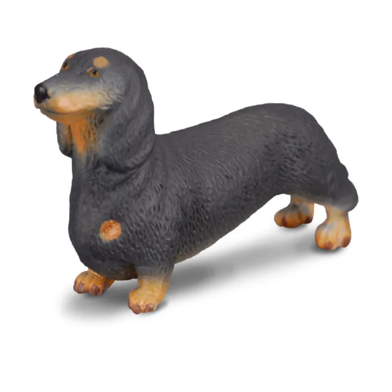 Collecta Cats & Dogs Dachshund 88185