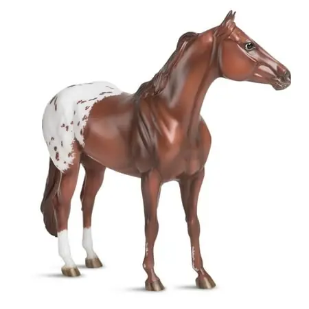 Horses Ideal Series Appaloosa Model - Realistic Collectible Figurine