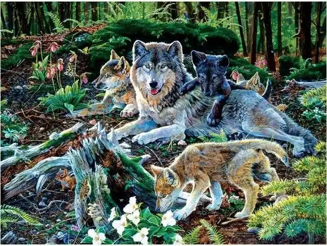 Forest Wolf Family 500-piece Jigsaw Puzzle By Sunsout Inc