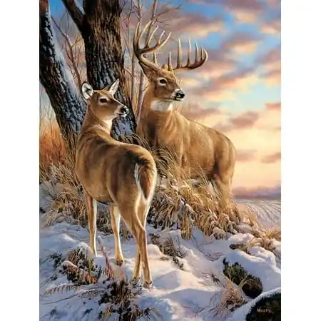 Escapade 500 Piece Jigsaw Puzzle For Family Fun And Entertainment