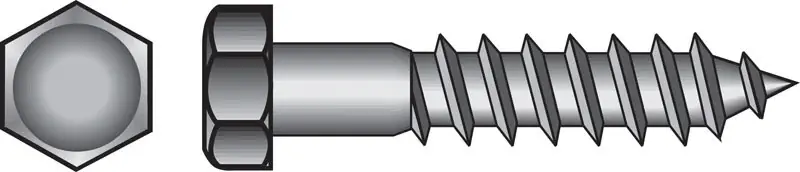5/16 In. 31 X 3 In. 31 L Hex Stainless Steel Lag Screw 25 Pk