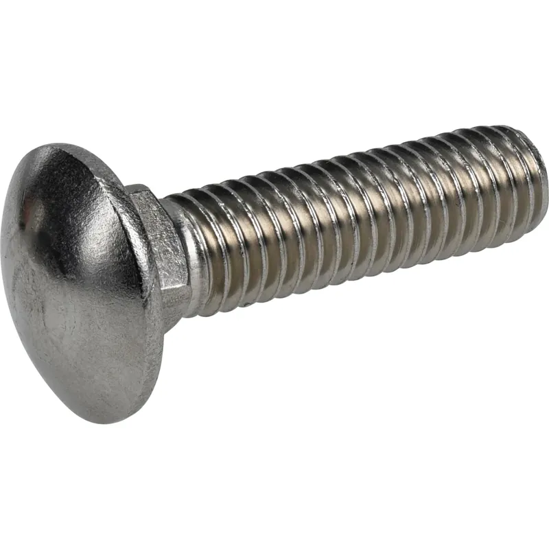 0.375 In. X 1-1/2 In. L Stainless Steel Carriage Bolt 25 Pk
