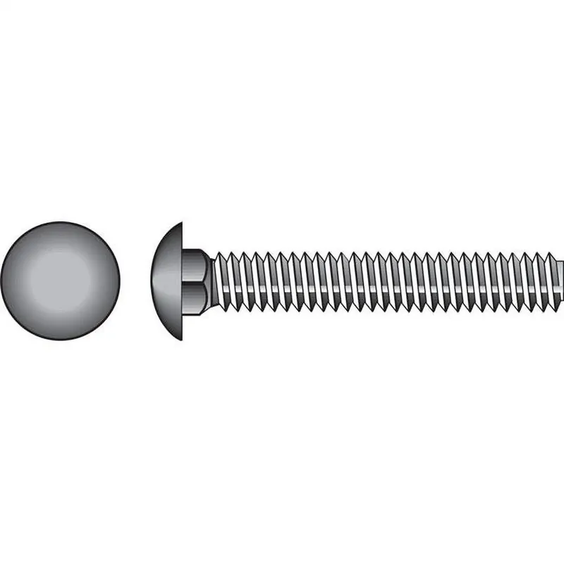 0.375 In. X 3 In. L Stainless Steel Carriage Bolt 25 Pk