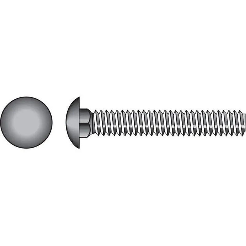 3/8 In. X 3-1/2 In. L Stainless Steel Carriage Bolt 25 Pk