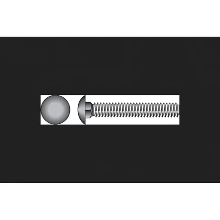 1/2 In. X 2 In. L Stainless Steel Carriage Bolt 25 Pk