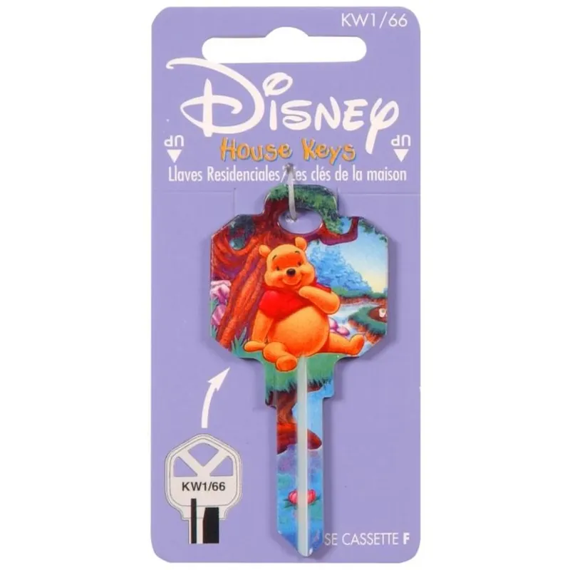 66 Disney Winnie The Pooh Key - Unique Design For Home And Office