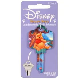 68 Disney Winnie The Pooh Key - Unique Design For Home And Office