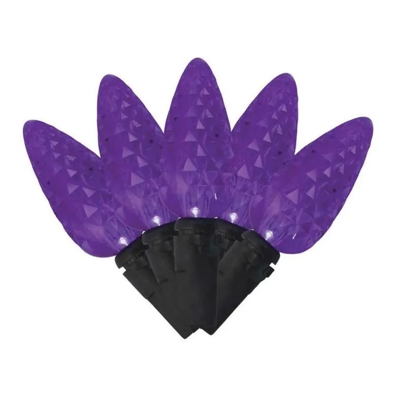 Purple Halloween Led String Lights – 100 Anti‑flicker C6 Bulbs