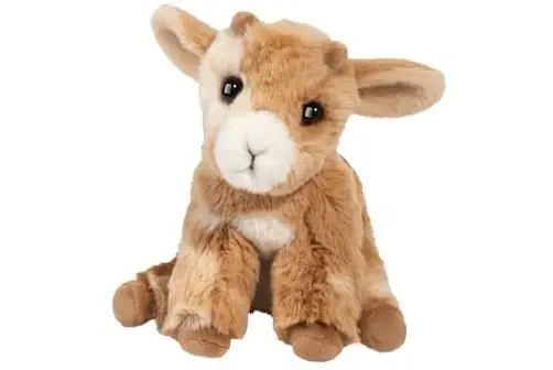 Dandie Goat Mini