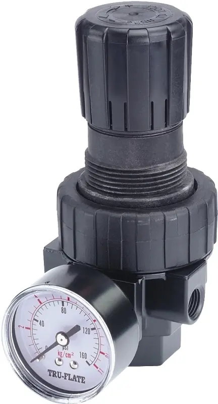 Plastic Compact Regulator With Gauge 1/4 In. Npt 160 Psi