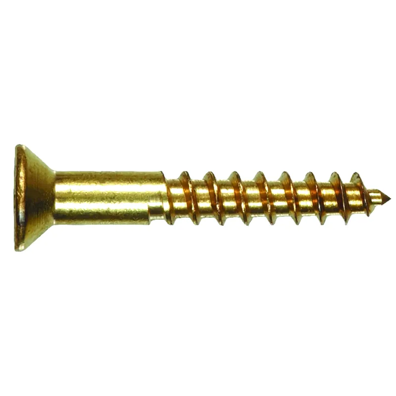 No. 10 X 2 In. L Phillips Coarse Wood Screws 100 Pk