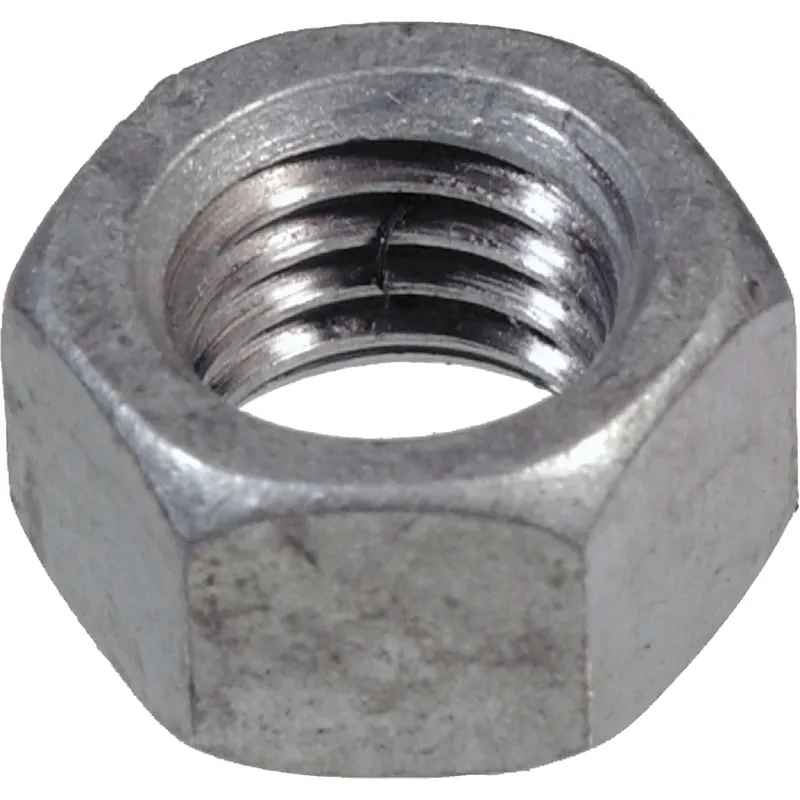 1/4 In. Hot Dipped Galvanized Steel Uss Hex Nut 100 Pk