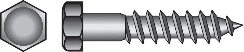 5/16 In. X 1 In. L Hex Hot Dipped Galvanized Steel Lag Screw 100 Pk
