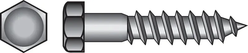 5/16 In. X 2-1/2 In. L Hex Hot Dipped Galvanized Steel Lag Screw 100 Pk