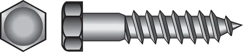 3/8 In. X 5 In. L Hex Hot Dipped Galvanized Steel Lag Screw 50 Pk