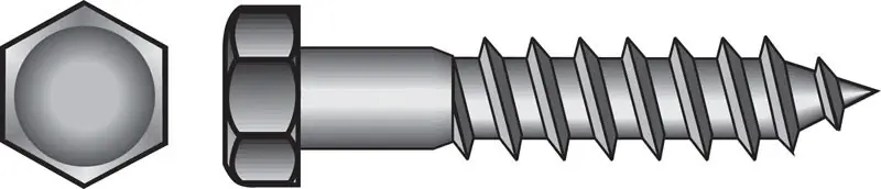 3/8 In. X 2 In. L Hex Stainless Steel Lag Screw 25 Pk