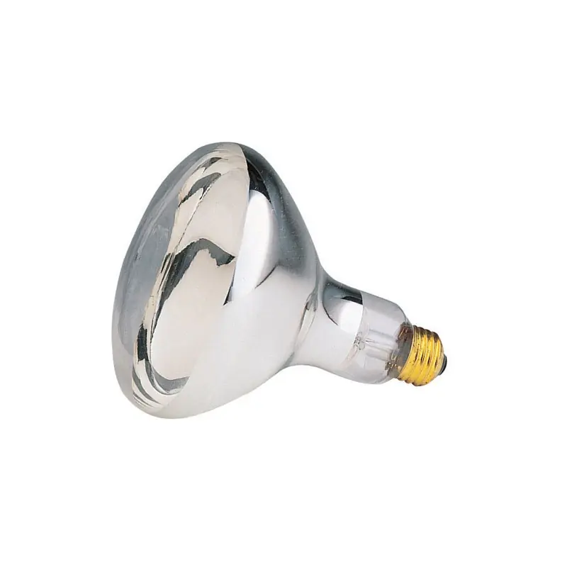 125 W R40 Reflector/heat Lamp Incandescent Bulb E26 (medium) White 1 Pk