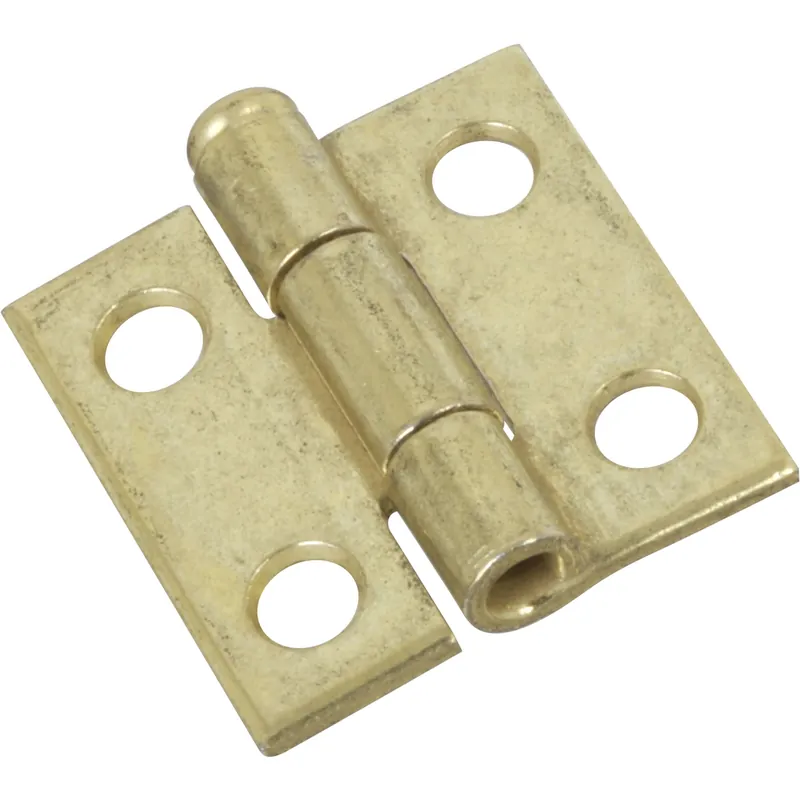 1 In. L Brass-plated Door Hinge 1 Pk