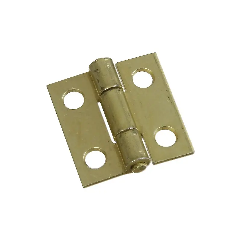 1 In. L Brass-plated Door Hinge 1 Pk