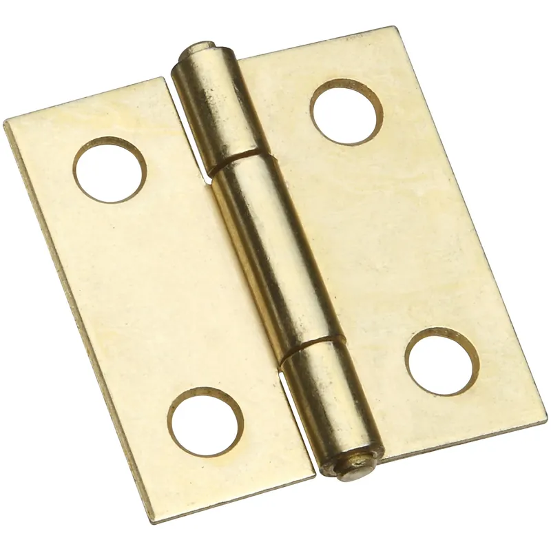 1-3/8 In. L Brass-plated Door Hinge 2 Pk