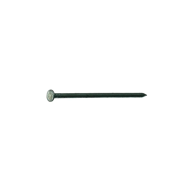 16d 3-1/2 In. Box Bright Steel Nail Flat Head 50 Lb
