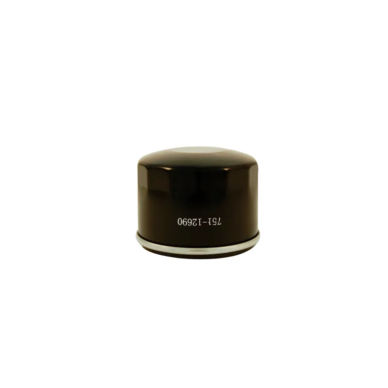 Oil Filter 1 Pk