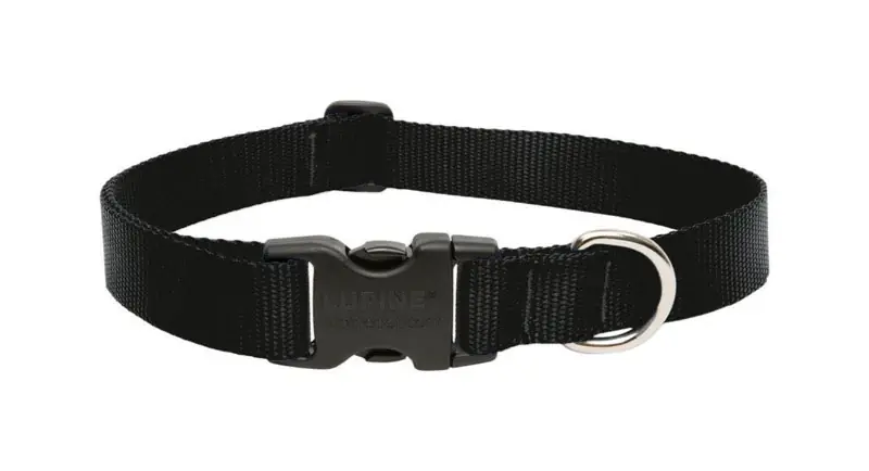 Lupine Pet Basic Solids Black Nylon Adjustable Dog Collar 16-28 In.