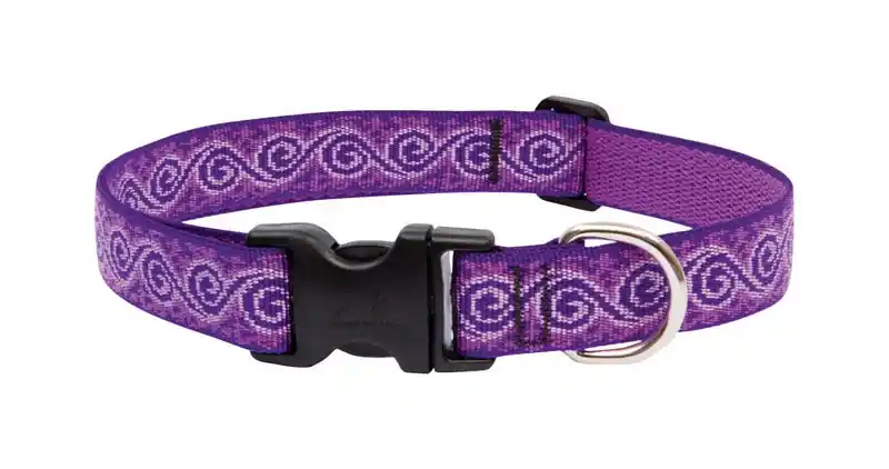 Dog Collar, Adjustable, Jelly Roll, 1 X 16 To 28 In.
