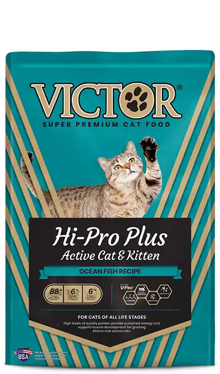 Hi-pro Plus Active Dry Cat & Kitten Food, 5 Lbs.