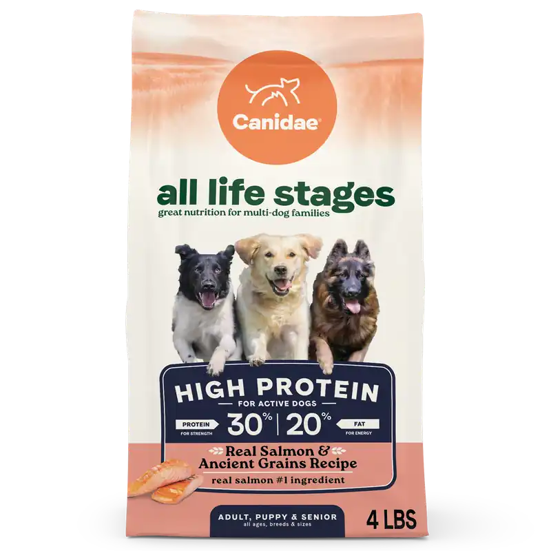 All Life Stages High Protein Dry Dog Food, Salmon & Ancient Grains Recipe, 4 Lbs.