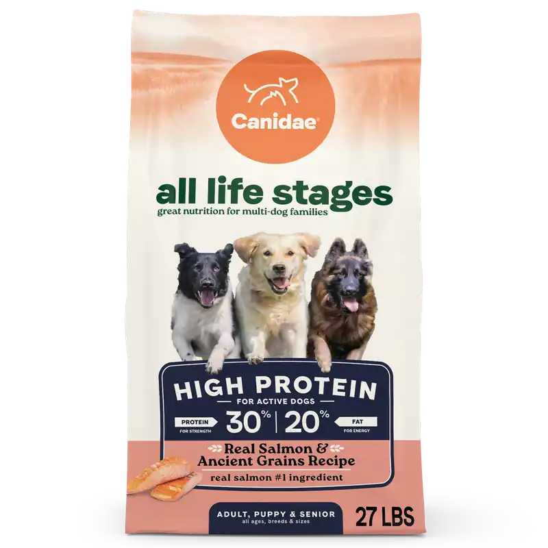 All Life Stages High Protein Dry Dog Food, Salmon & Ancient Grains Recipe, 27 Lbs.