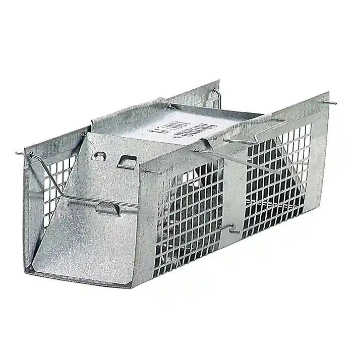 Small Live Catch Cage Trap For Mice 1 Pk