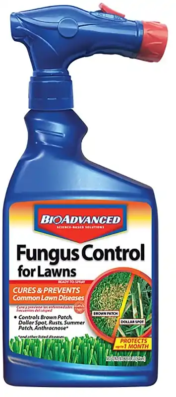 Fungus Control For Lawns, 32 Oz.