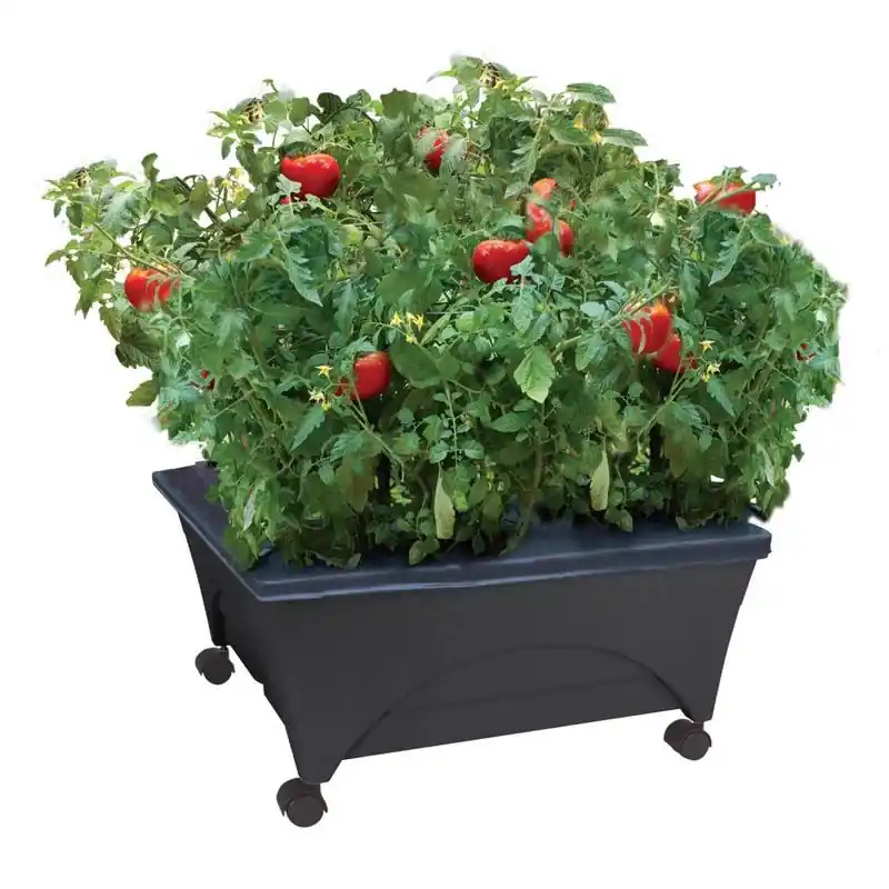 11 In H X 24 In W X 20 In D Resin Garden Bed Charcoal