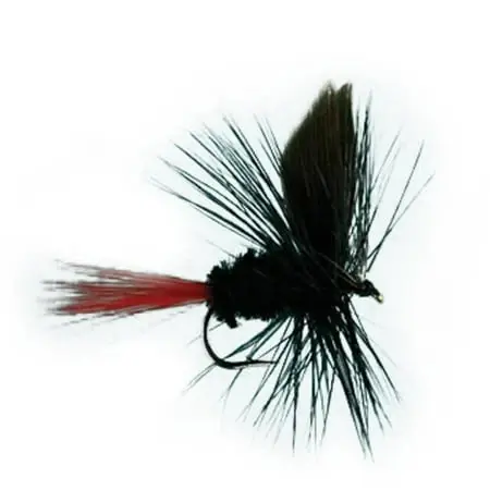 Cardinal Flies Black Gnat-red Tail Fishing Lures - 12 Pieces