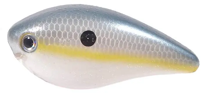 Kvd 1.5 Series Pro-model Crankbait - Sexy Shad - 1.5 In.