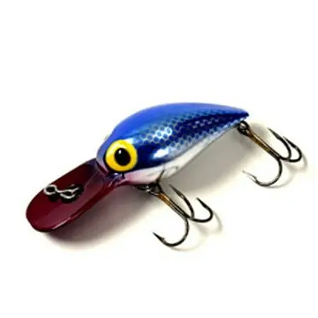 Brad‘s Wiggler Black Pirate 3-inch Fishing Lure