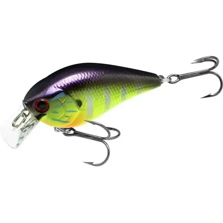 Square Bill Crankbait 1/2 Oz. Gorgeous Purple Chartreuse Gill