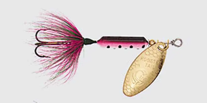 Wordens Original Rooster Tail Spinner Lure, Rainbow, 1/6 Ounce