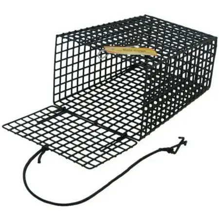 Crab Trap Bait Cage - Green, Durable Design For Effective Fishing