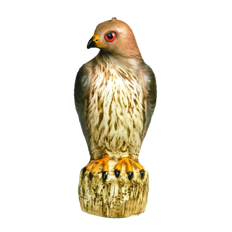 Hawk Decoy, Heavy Duty Plastic