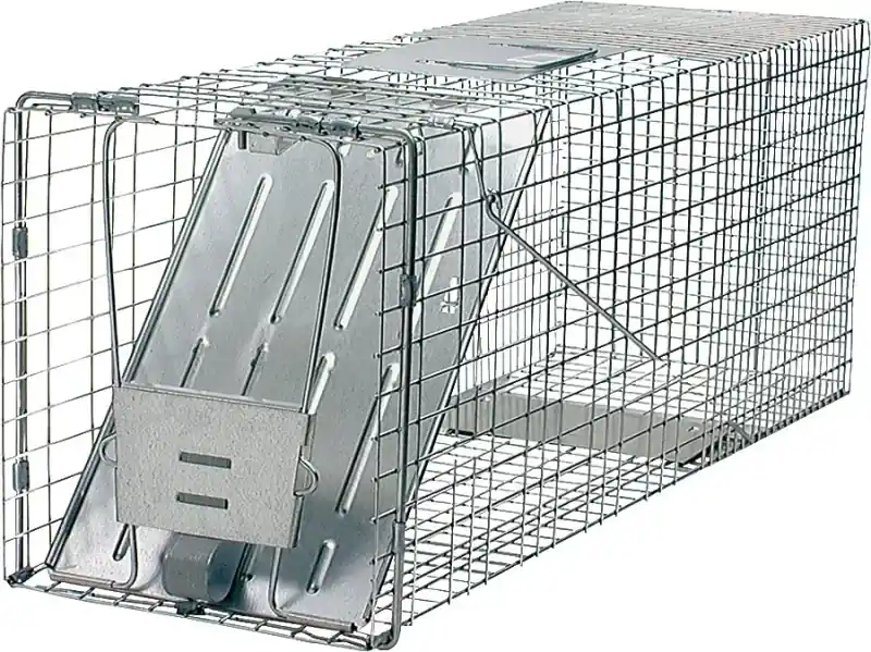 Large Live Catch Cage Trap For Cats And Raccoons 1 Pk
