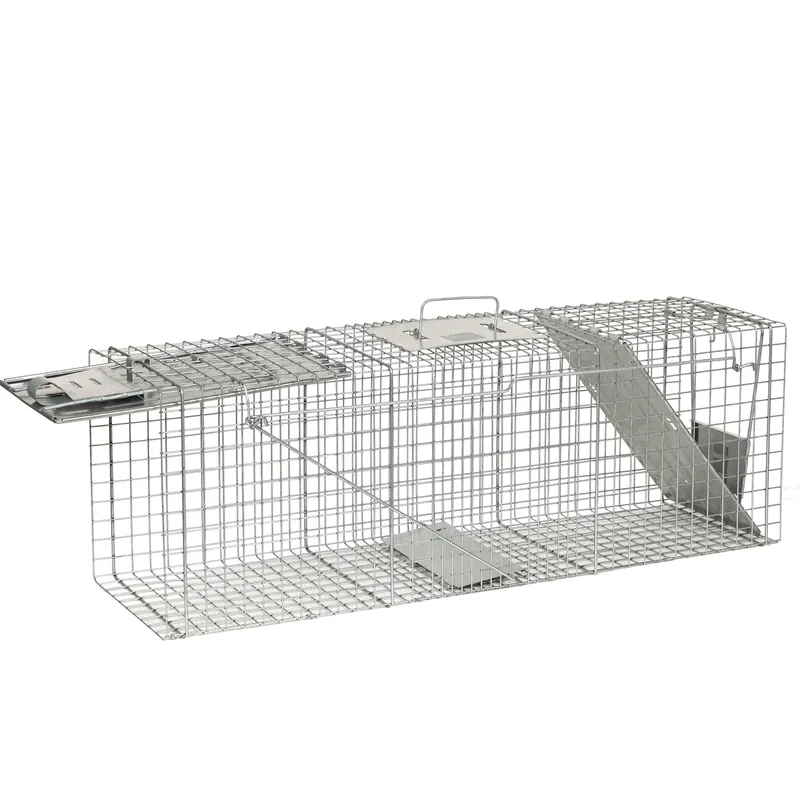 Large Live Catch Cage Trap For Raccoons 1 Pk
