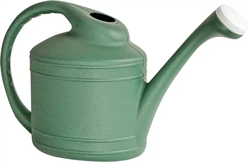 Wc8108fe 2 Gallon Fern Plastic Watering Can For Indoor And Outdoor Use