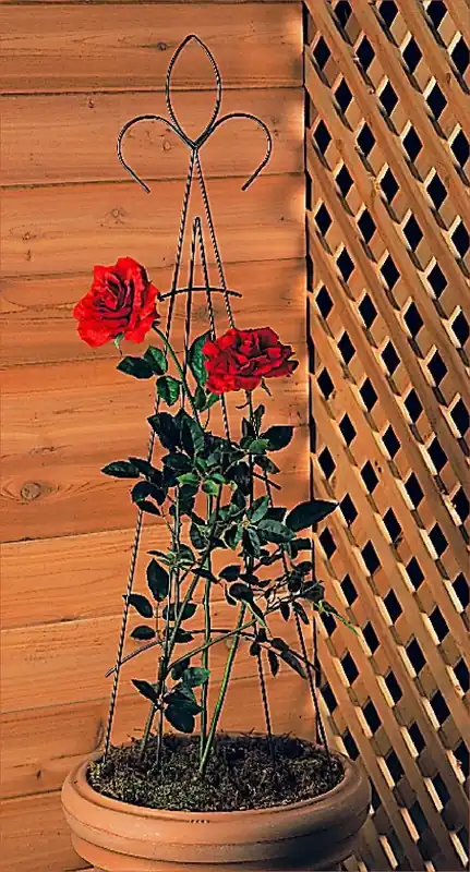 48 Inch Green Pot Trellis For Climbing Plants And Garden Support