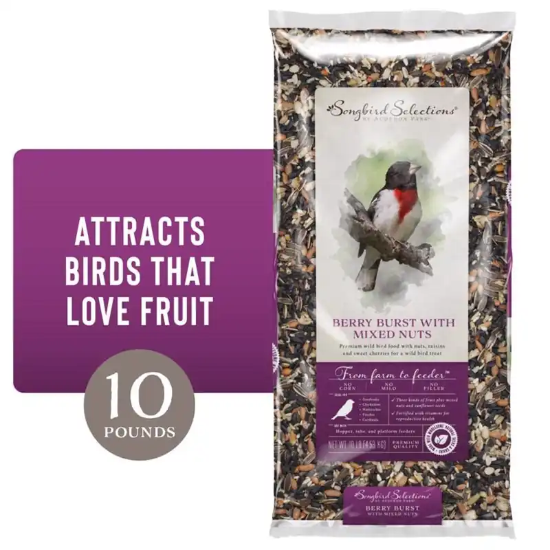 Wild Bird Nuts Bird Seed 10 Lb - Premium Blend With Fruits & Nuts