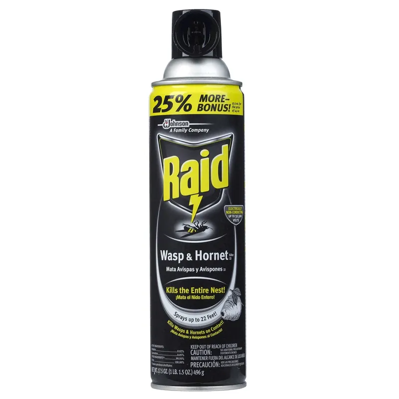 Wasp & Hornet Killer, 17.5 Oz. Aerosol
